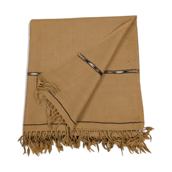 A pure pashmina shawl in a medium brown or camel color, folded and draped, featuring subtle dark patterned border details and fringed edges, displayed on a white background.